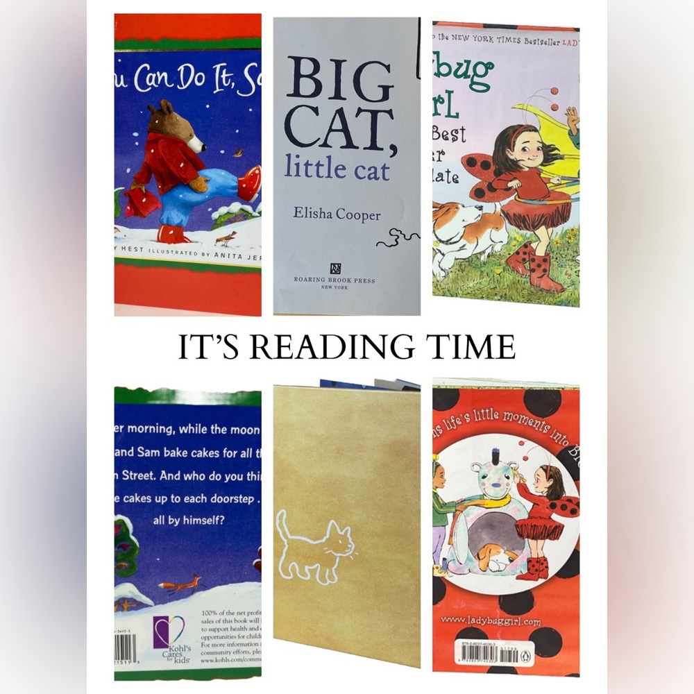 Collections of books-Ladybug Girl, The Big Cat,and many more